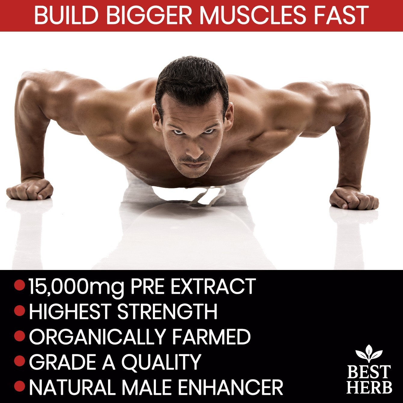 TRIBULUS TERRESTRIS 7500mg EXTRACT 96% SAPONINS BIG MUSCLE BODYBUILDING PILLS