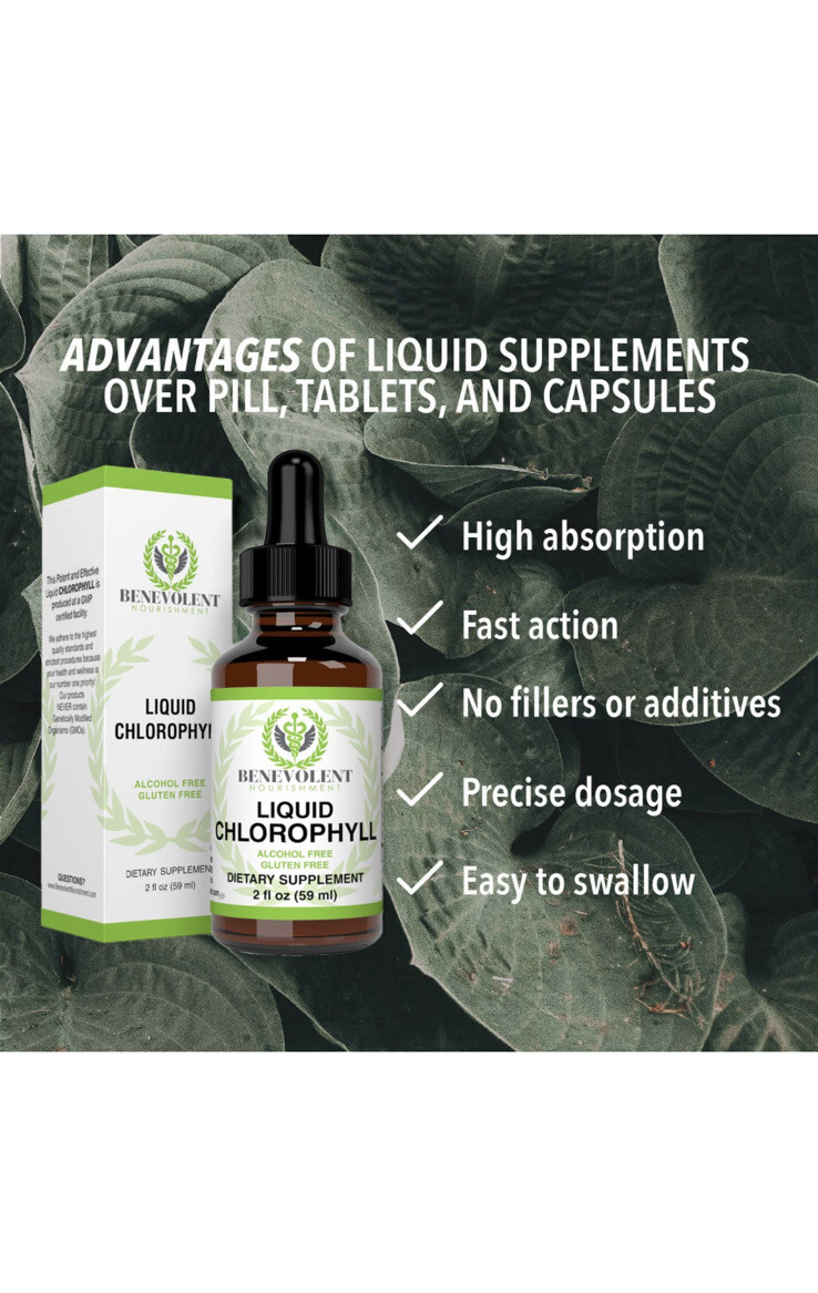Chlorophyll Liquid Drops – Energy Boost | Immune System Support – 100% Natural