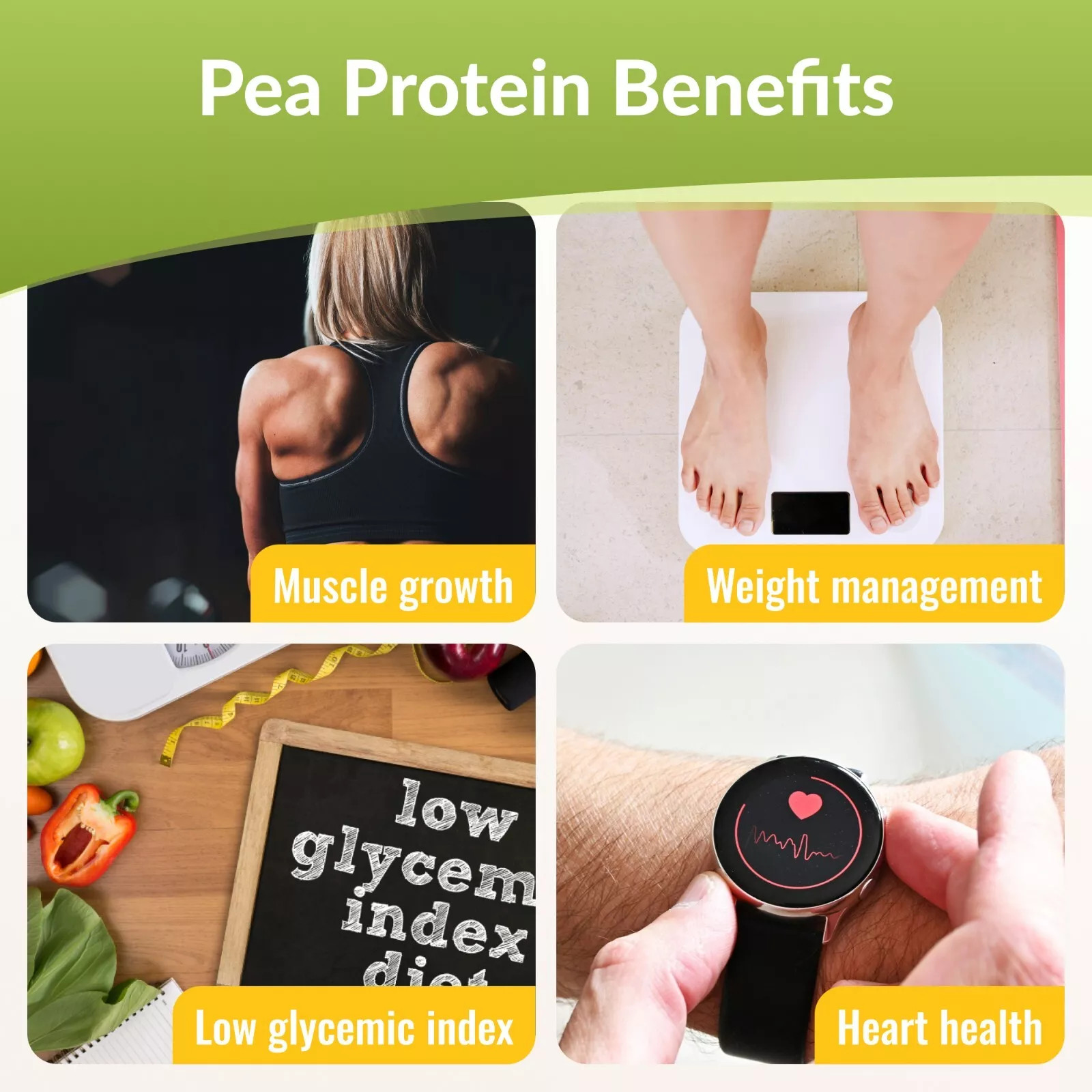100% Organic Pea Protein Powder Vegan Formula Supports Muscles 26g Per Serving