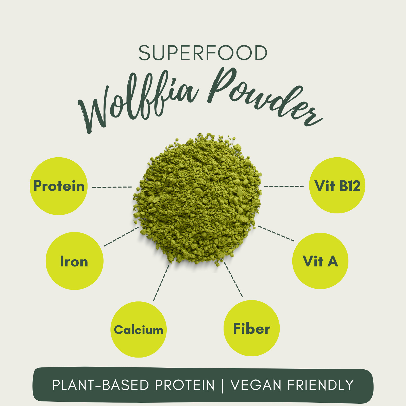 Pure Dried Wolffia Globosa Powder Plant Base High Protein Superfood, B12 Vegan