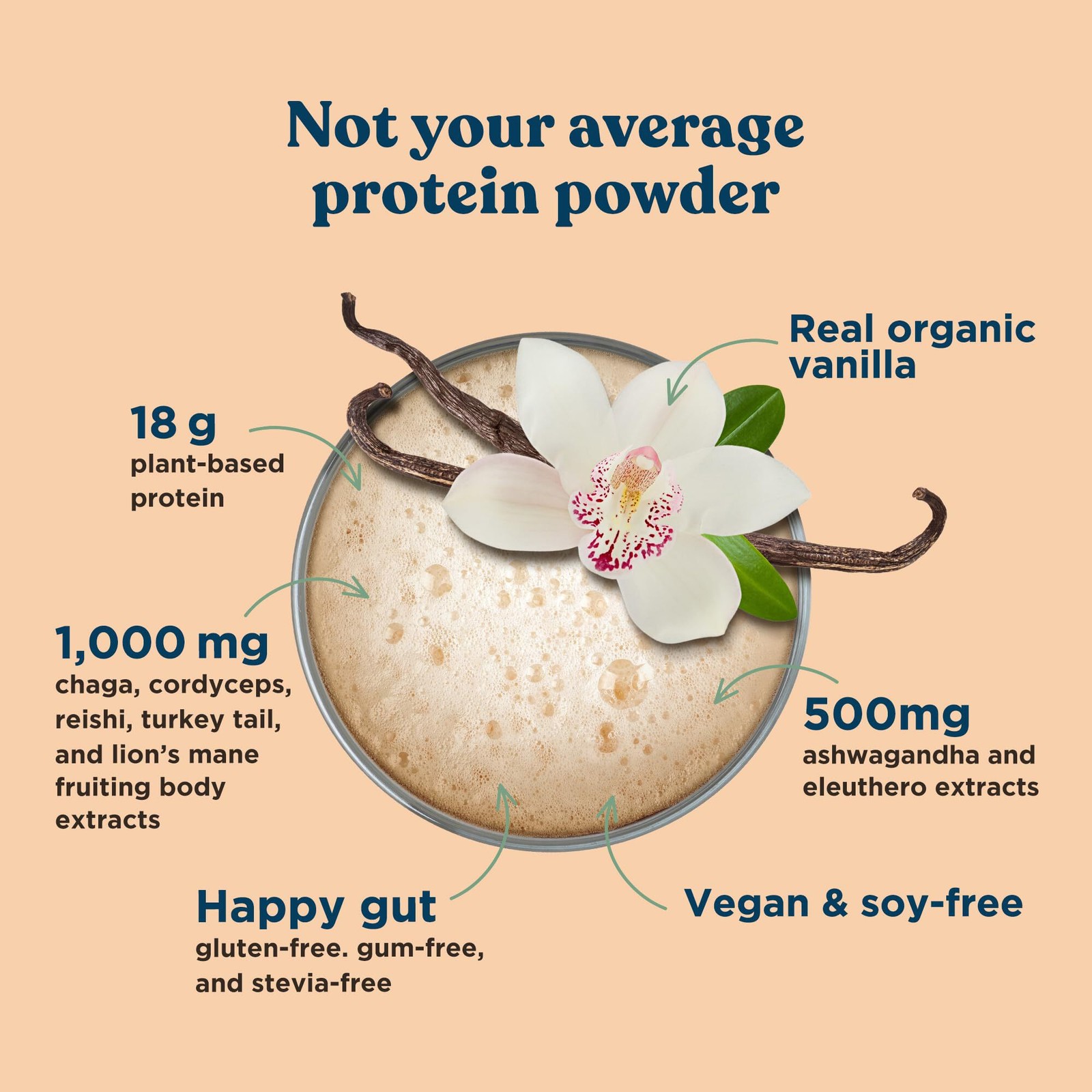 11/26 Four Sigmatic Organic Vegan Protein Powder | 18g Plant-Based Protein per S