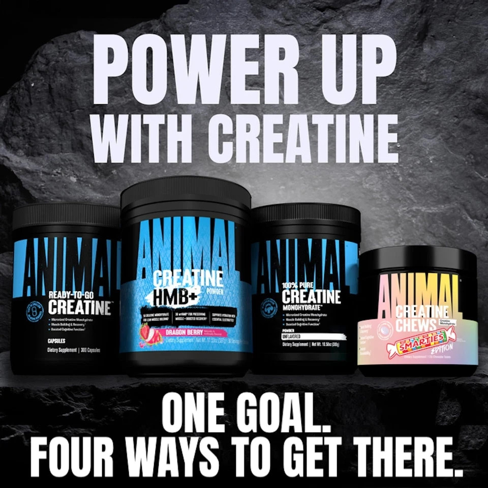 Animal Creatine Monohydrate Powder — 300g (Pack of 1), Unflavored