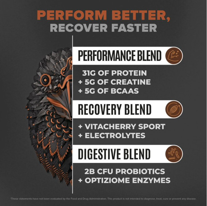 BIRDMAN Falcon Vegan Protein with Creatine, Chocolate, 28 Servings