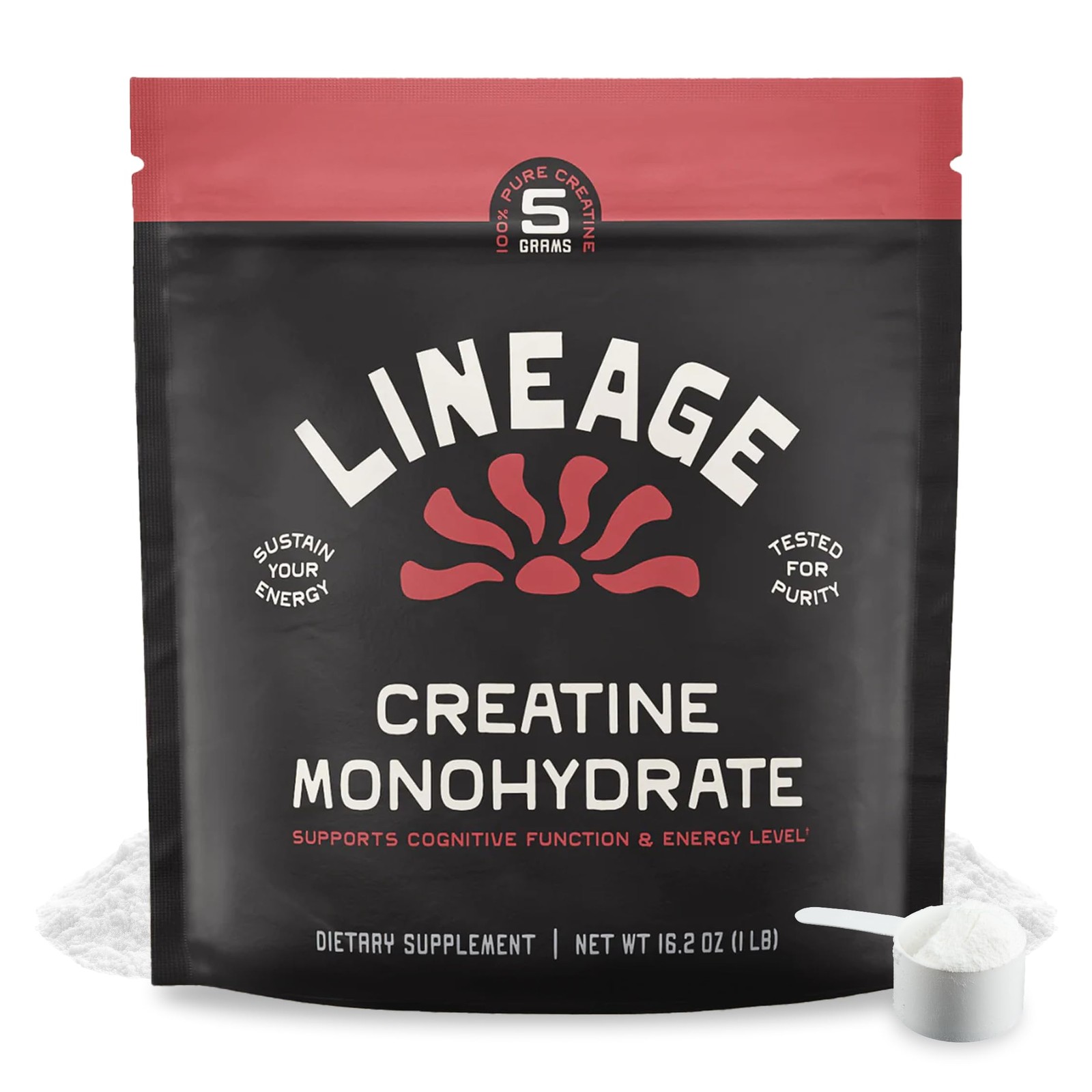 Lineage Provisions Micronized Creatine Monohydrate with Sea Salt – 1-Pack