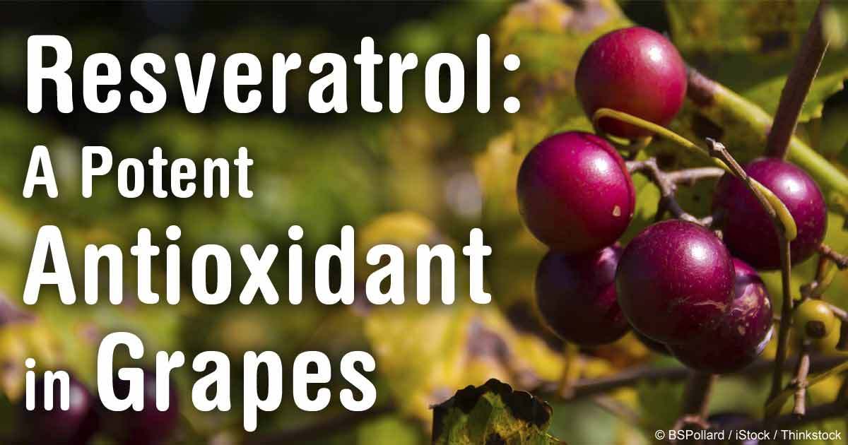 Antioxidant booster – GRAPE SEED EXTRACT – RESVERATROL COMBO – grape seed tablet