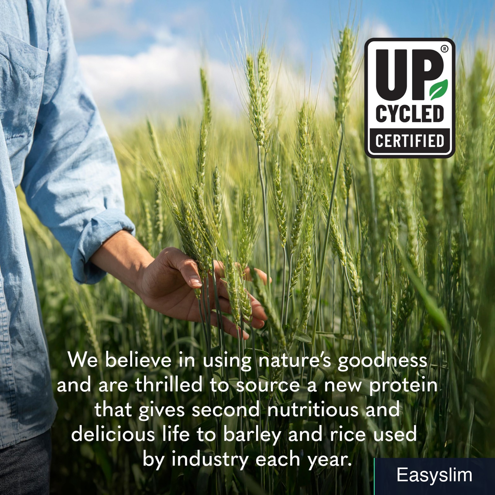 Plant-Based Sprouted Barley Protein Powder, Vanilla Caramel, 20 Servings