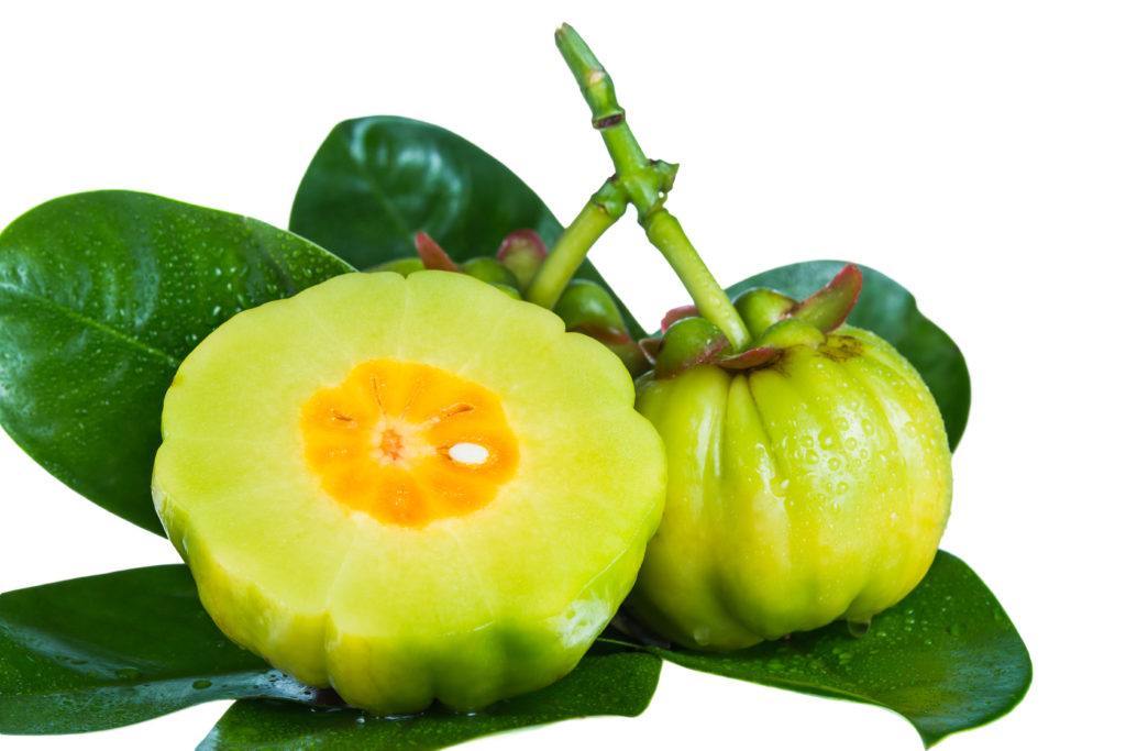 citrus fruit weight balance – GARCINIA CAMBOGIA 50% HCA – drop pounds fast – 3B