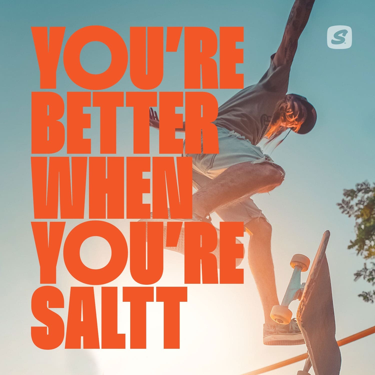 Keto Chow Electrolyte Drops or Capsules
