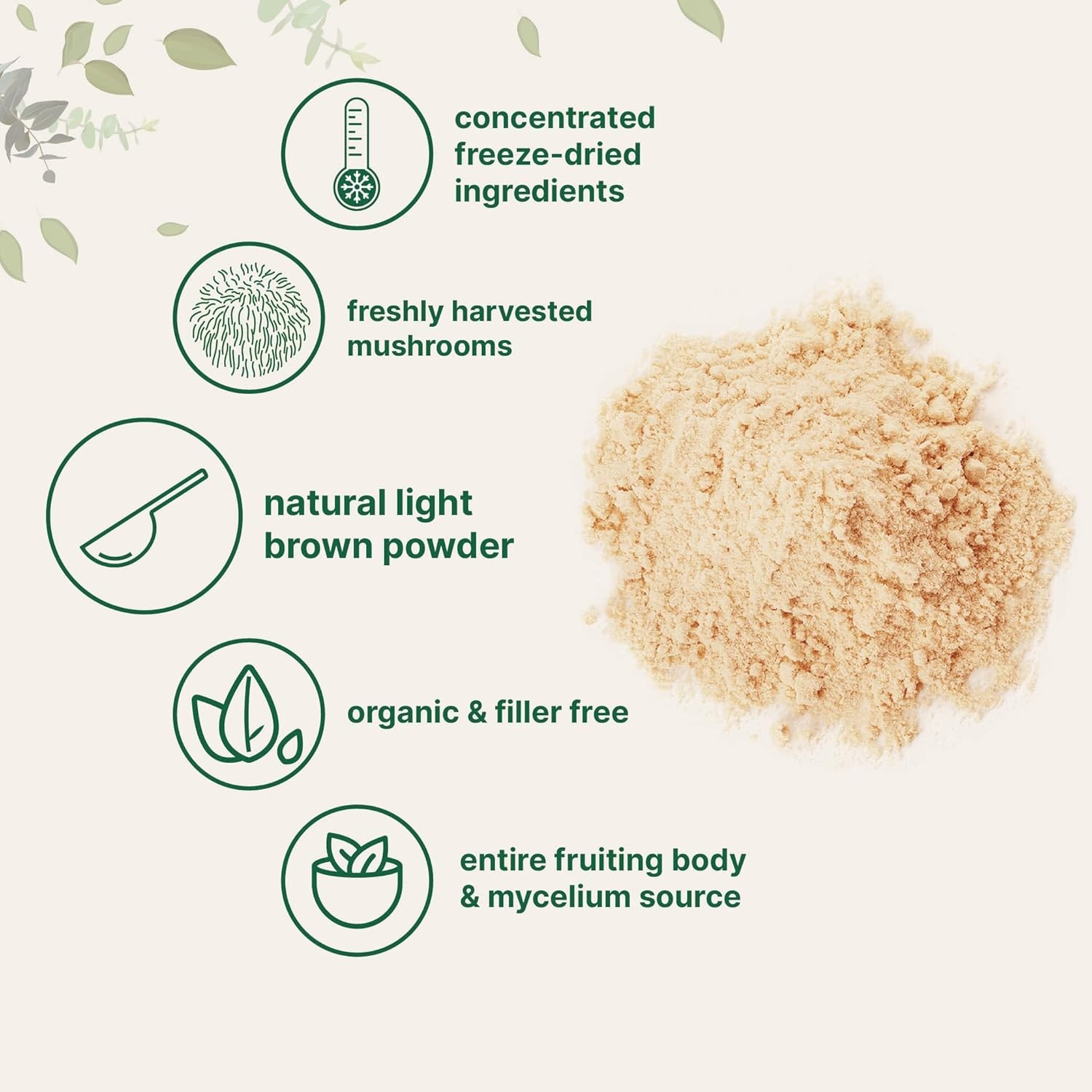 Ingredients Micro Organic Lion??s Mane Mushroom Powder Unadulterated Fruiting Su