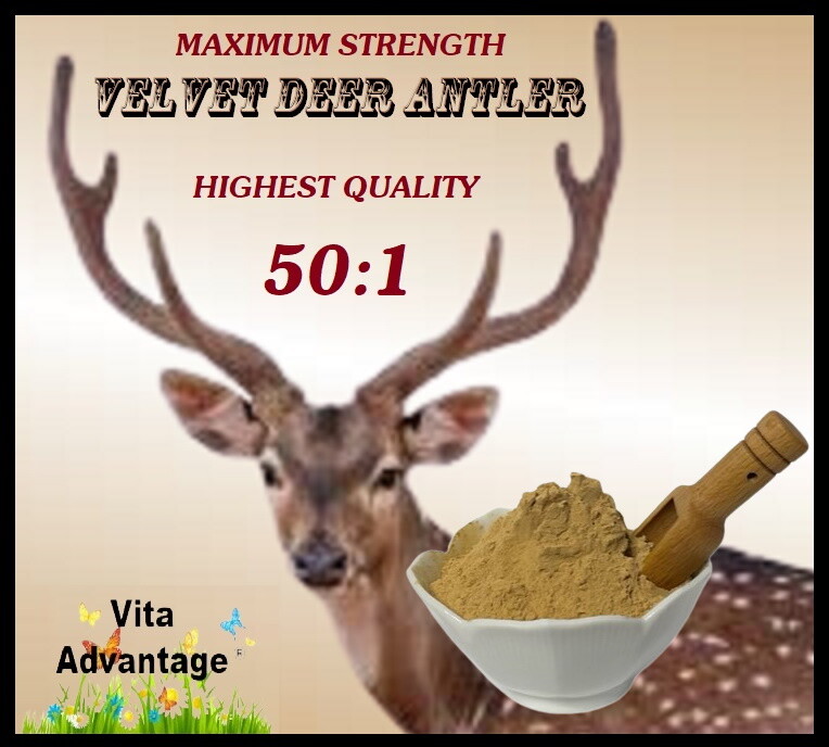 Deer Antler Velvet 50:1 Highest Quality 50X THE POTENCY OF REGULAR Powder 2LB