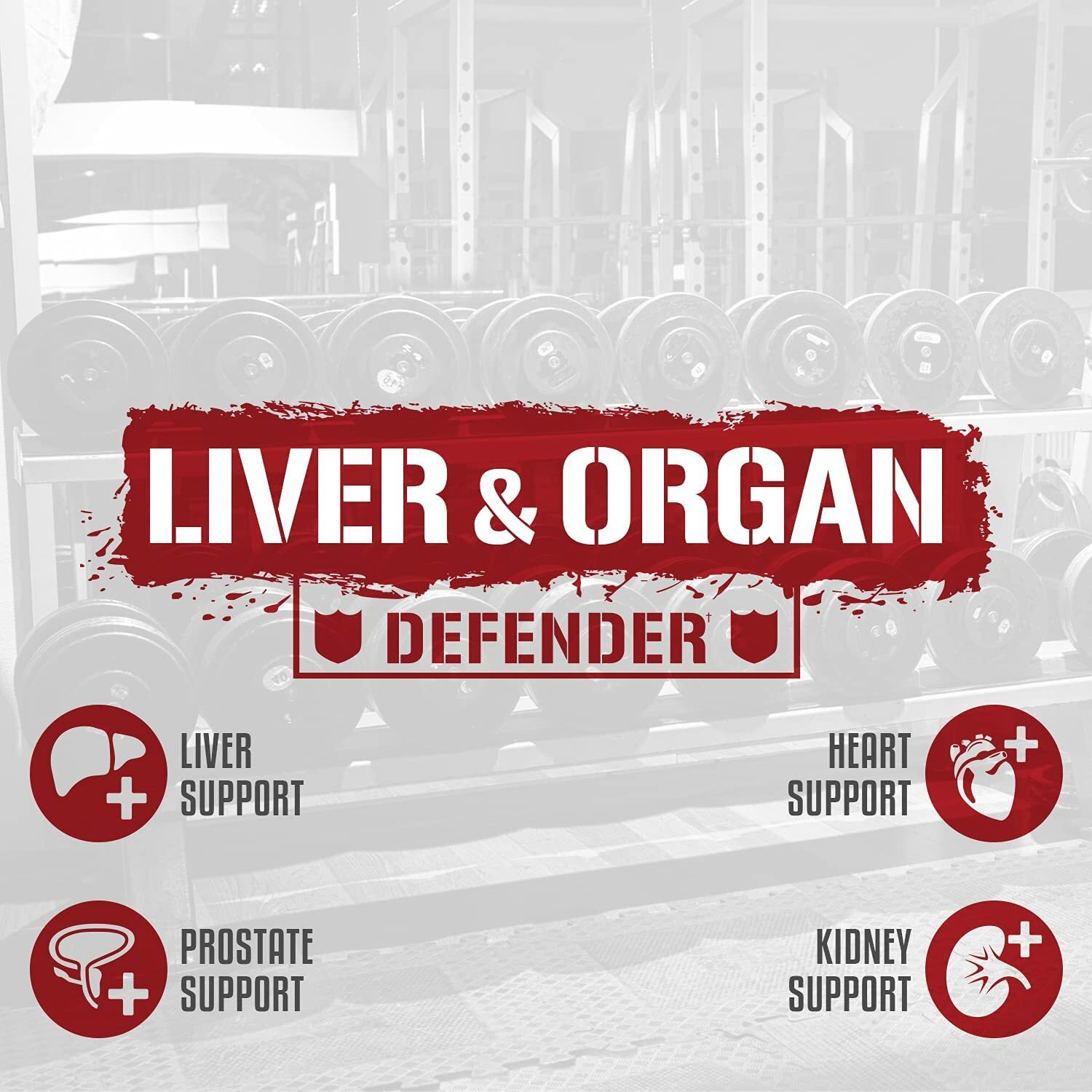 Rich Piana 5% Nutrition Liver and Organ Defender BEST Cycle + PCT NEW FORMULA