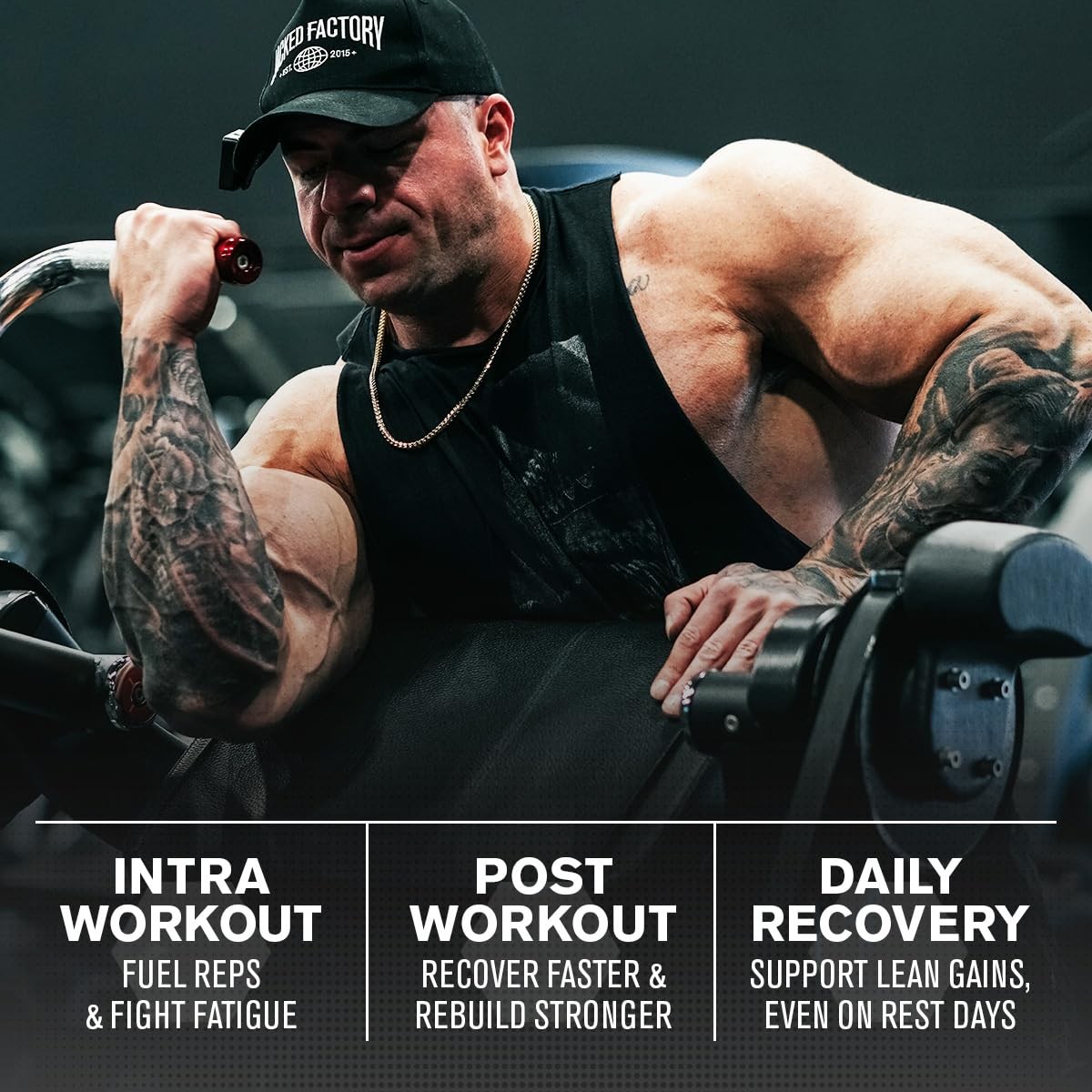 Creatine + BCAAs – Creatine Monohydrate + BCAA Powder for Increased Post-Work…