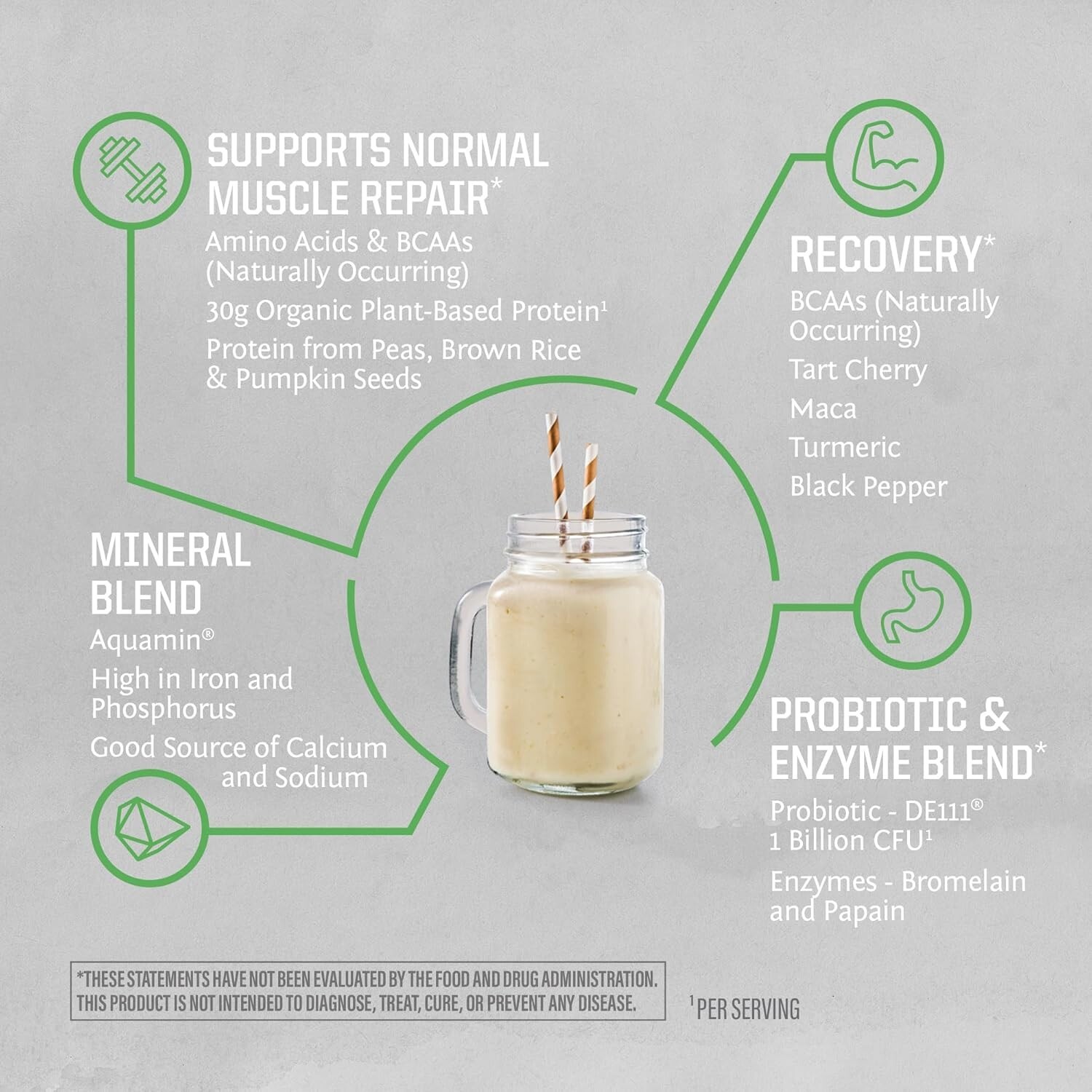 Vegan Protein Powder Plant-Based USDA Organic BCAAs 30g per Serving, 2.2 lbs