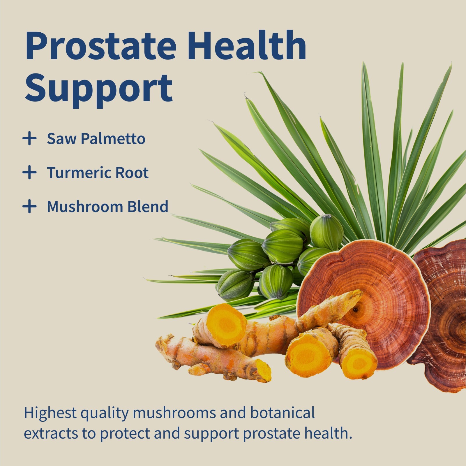 SNAP Prostate Wellness Nitric Oxide Booster Saw Palmetto L-Arginine/L-Citrulline