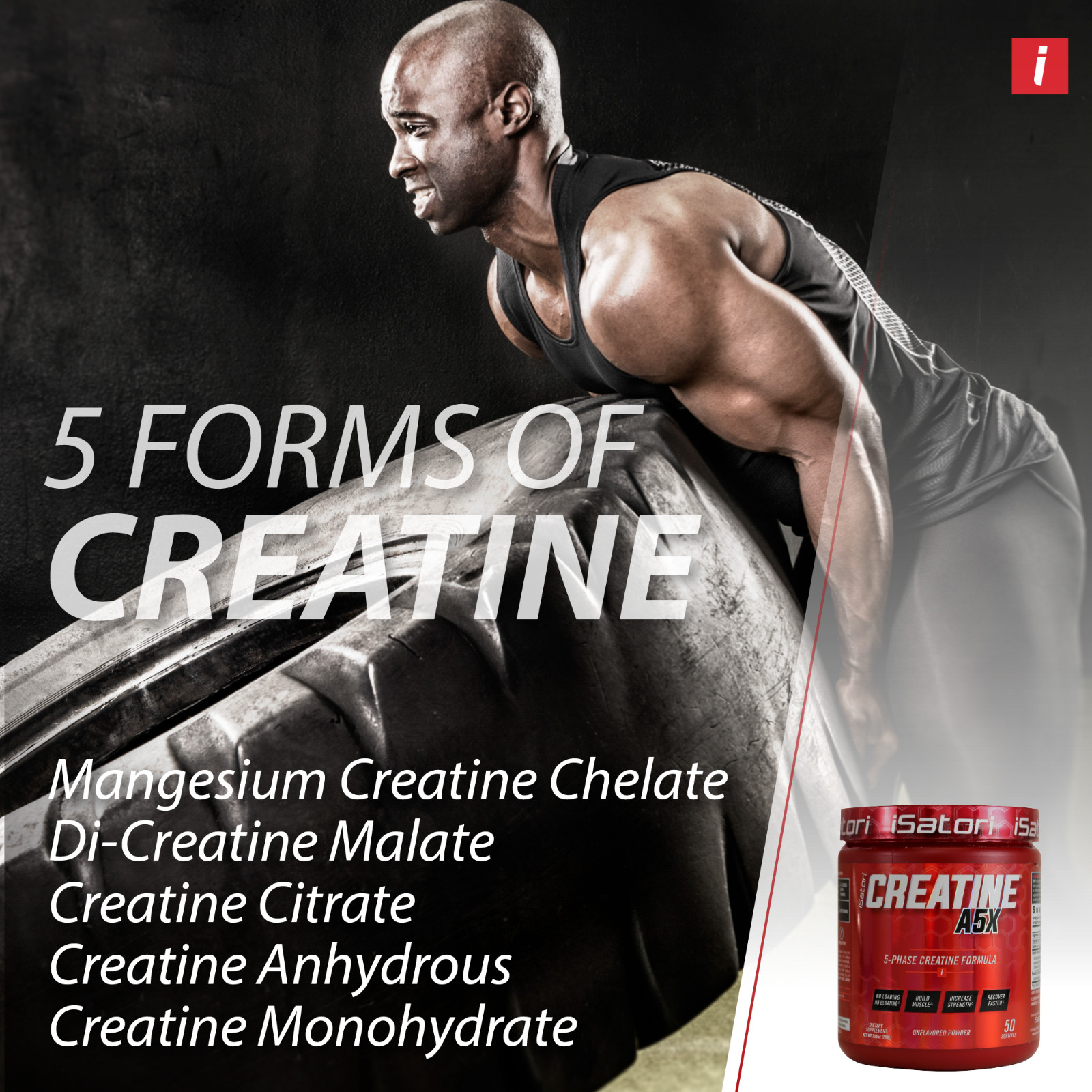 CREATINE A5X Muscle-Strength-Performance-Recovery – Unflavored (50 Servings)
