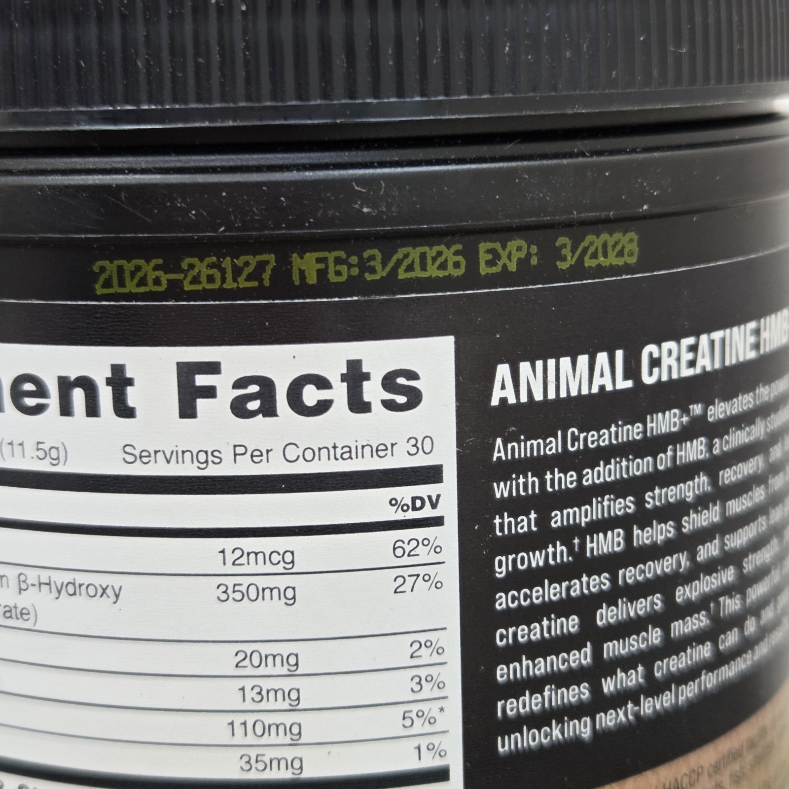 Animal Creatine HMB Powder x Smarties 3g myHMB + 5g Creatine Monohydrate