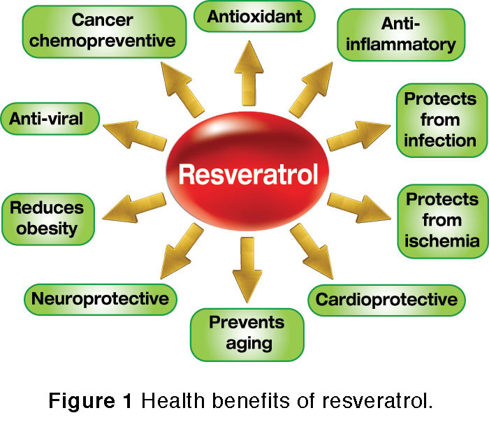 Antioxidant booster – GRAPE SEED EXTRACT – RESVERATROL COMBO – grape seed tablet