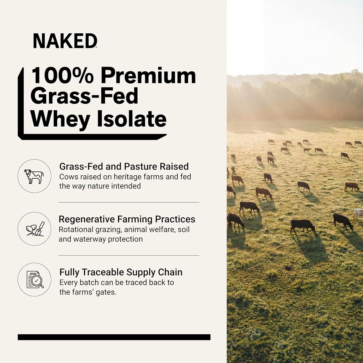 Whey Isolate Protein – Only 2 Ingredients, 30G Grass-Fed Protein, Zero Carb, Unf