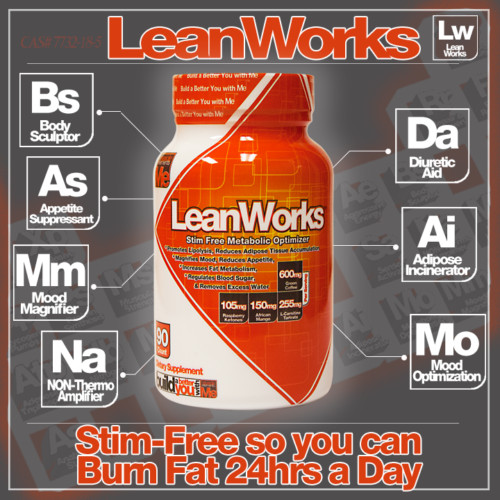 Muscle Elements LEAN WORKS Non- Stim PM Fat Burner Weight Loss – 90 capsules