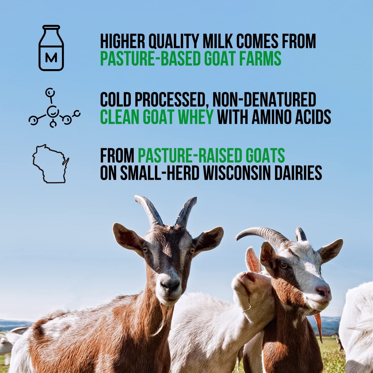 NAKED Goat – Pasture Fed Whey Protein Powder from 2 Pound (Pack of 1)