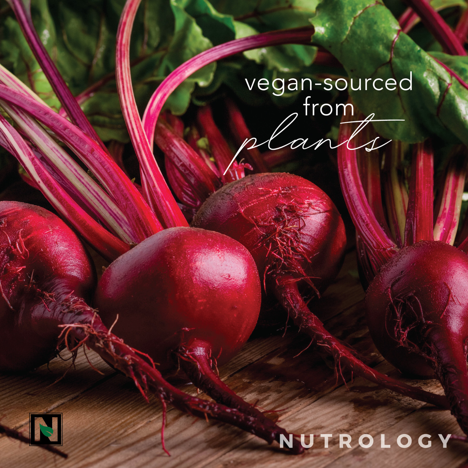 Beet Active–All-Natural Vegan Pre-Workout–Beet Root Powder- Passion Fruit