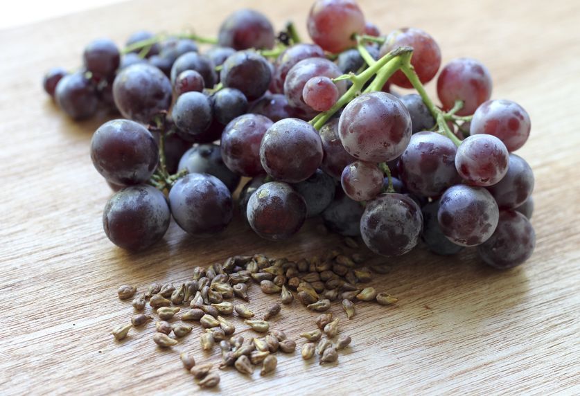 Immune vitamin c – GRAPE SEED EXTRACT – ANTI GRAY HAIR COMBO – coenzyme q10