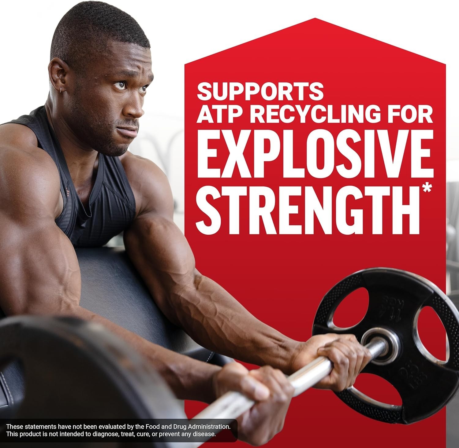 Force Factor Creatine Monohydrate Powder, 5g Micronized Dose to Support Muscle G