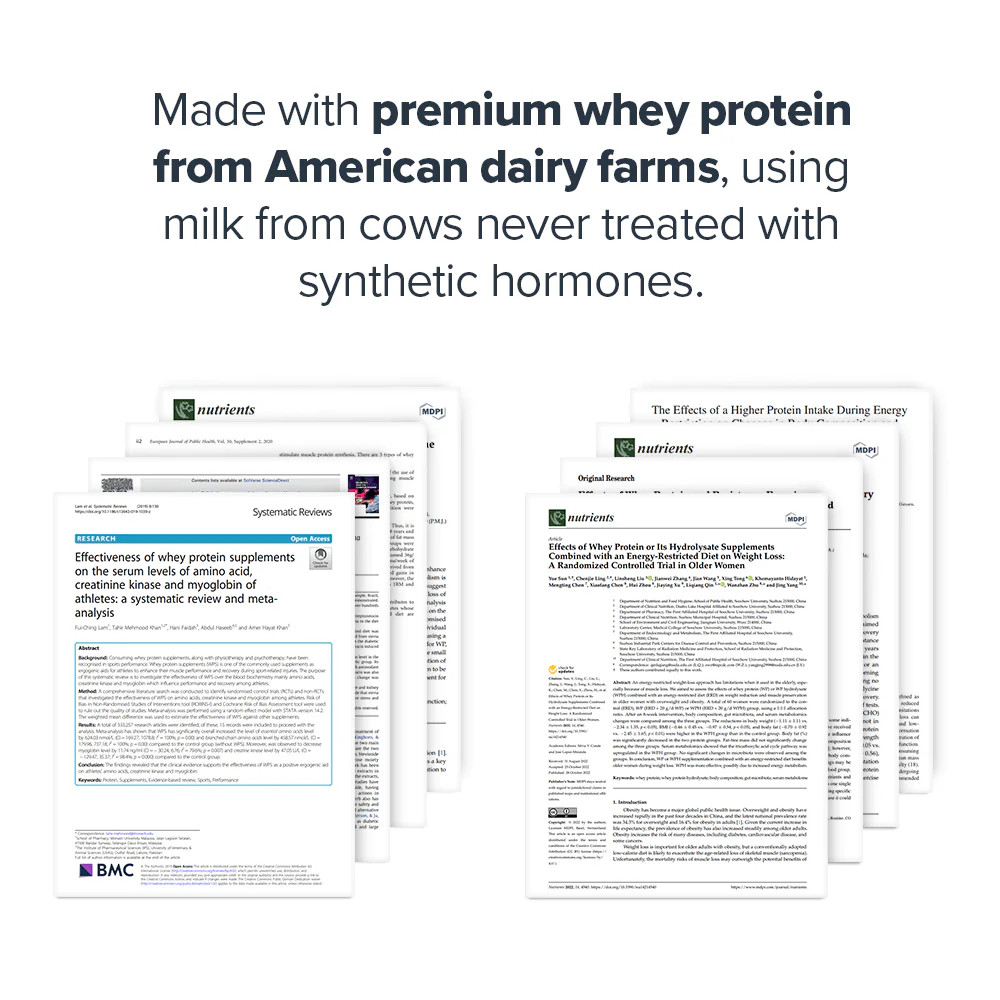 Whey Concentrate Whey Protein Powder