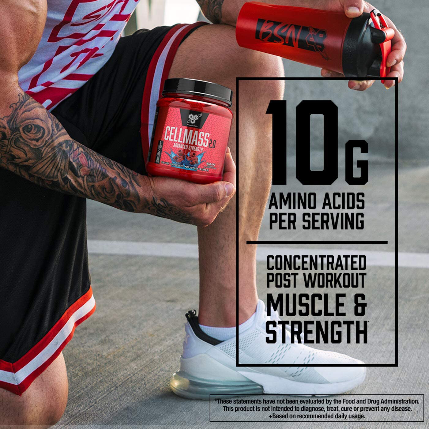BSN CELLMASS 2.0 ARCTIC BERRY 1.09LB