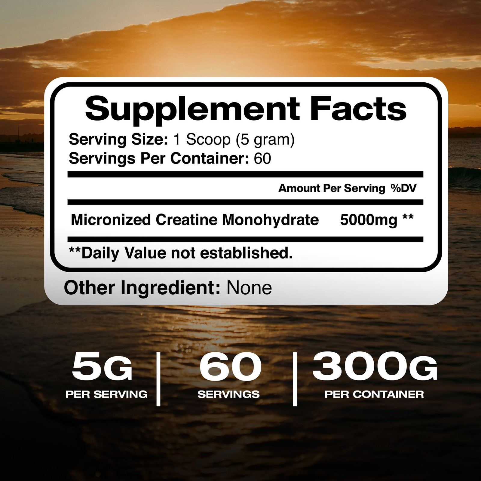 American Standard Supplements Pure Creatine 10.58 Ounce (Pack of 1)