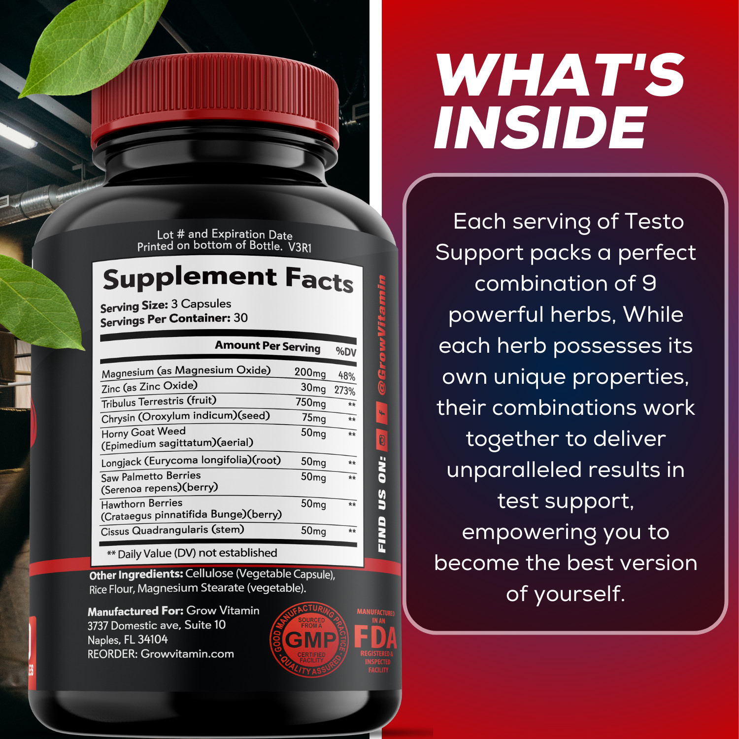 PREMIUM MEN TEST SUPPORT CAPLETS – Stamina, Endurance, Energy & Strength Booster