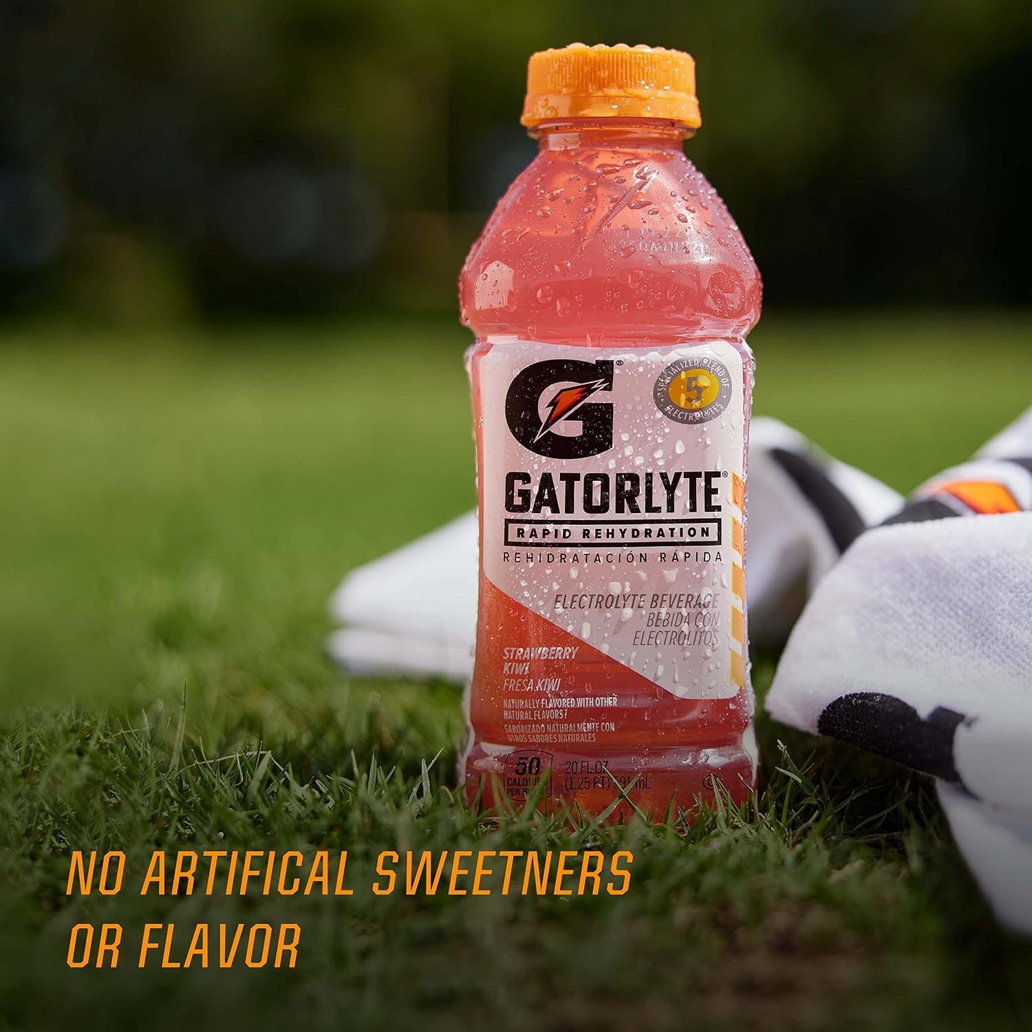 Gatorade Hydration Drink, Variety Pack, 20oz Bottles 12 Pack