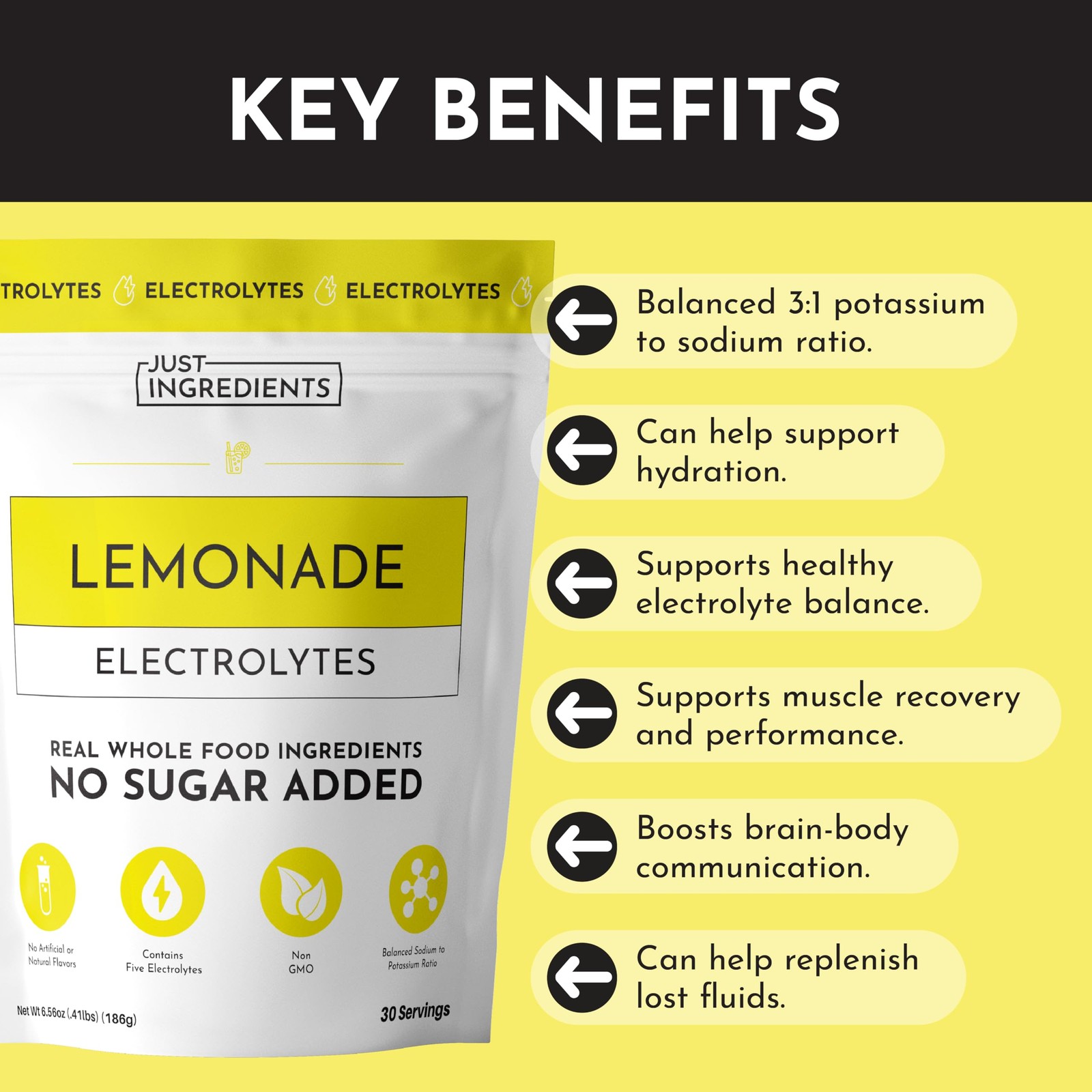 JUST INGREDIENTS Lemonade Electrolytes Drink Mix – Coconut Water, Sea Salt