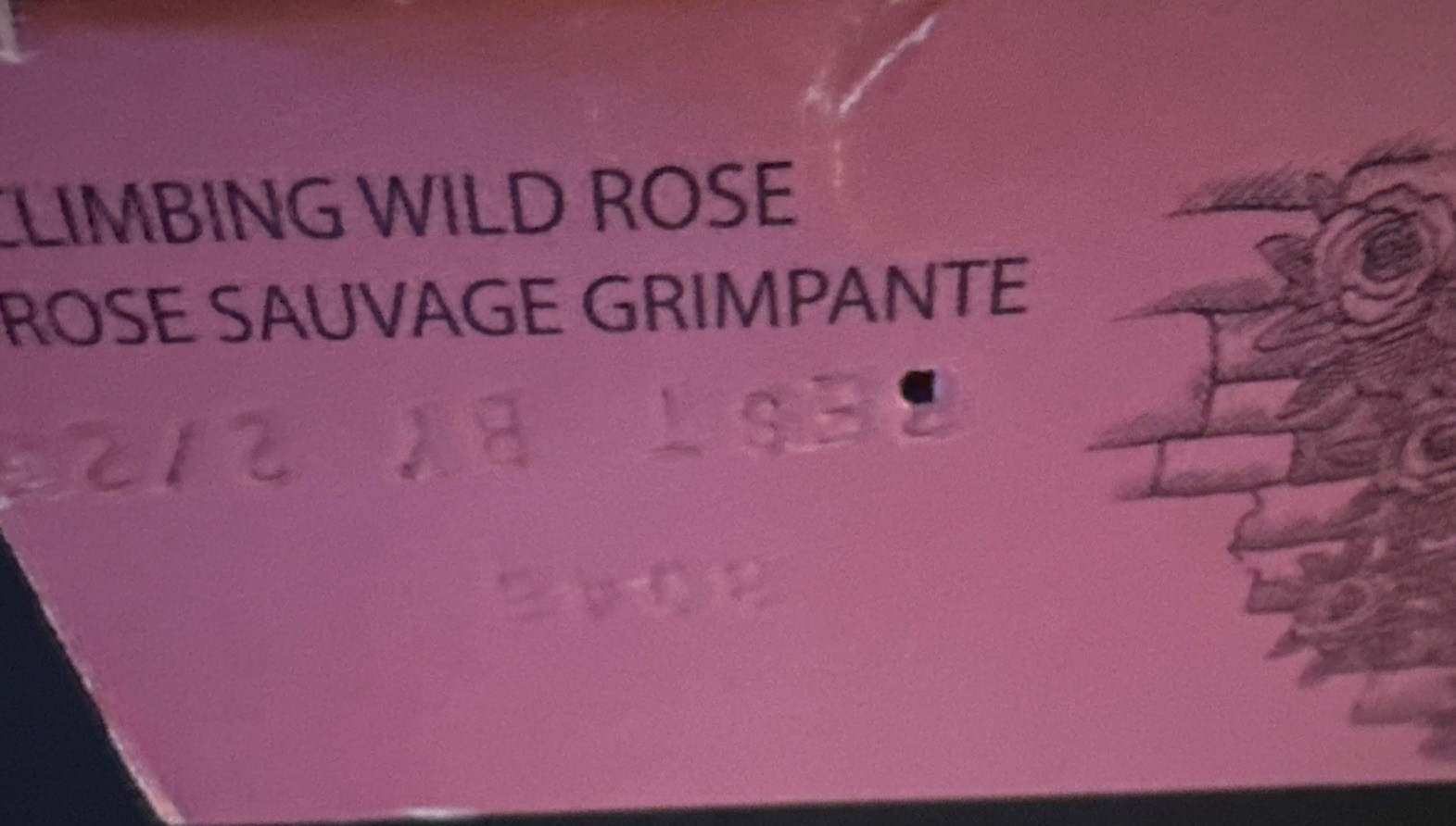 South Of France Climbing Wild Rose Bar Soap – 6 Oz