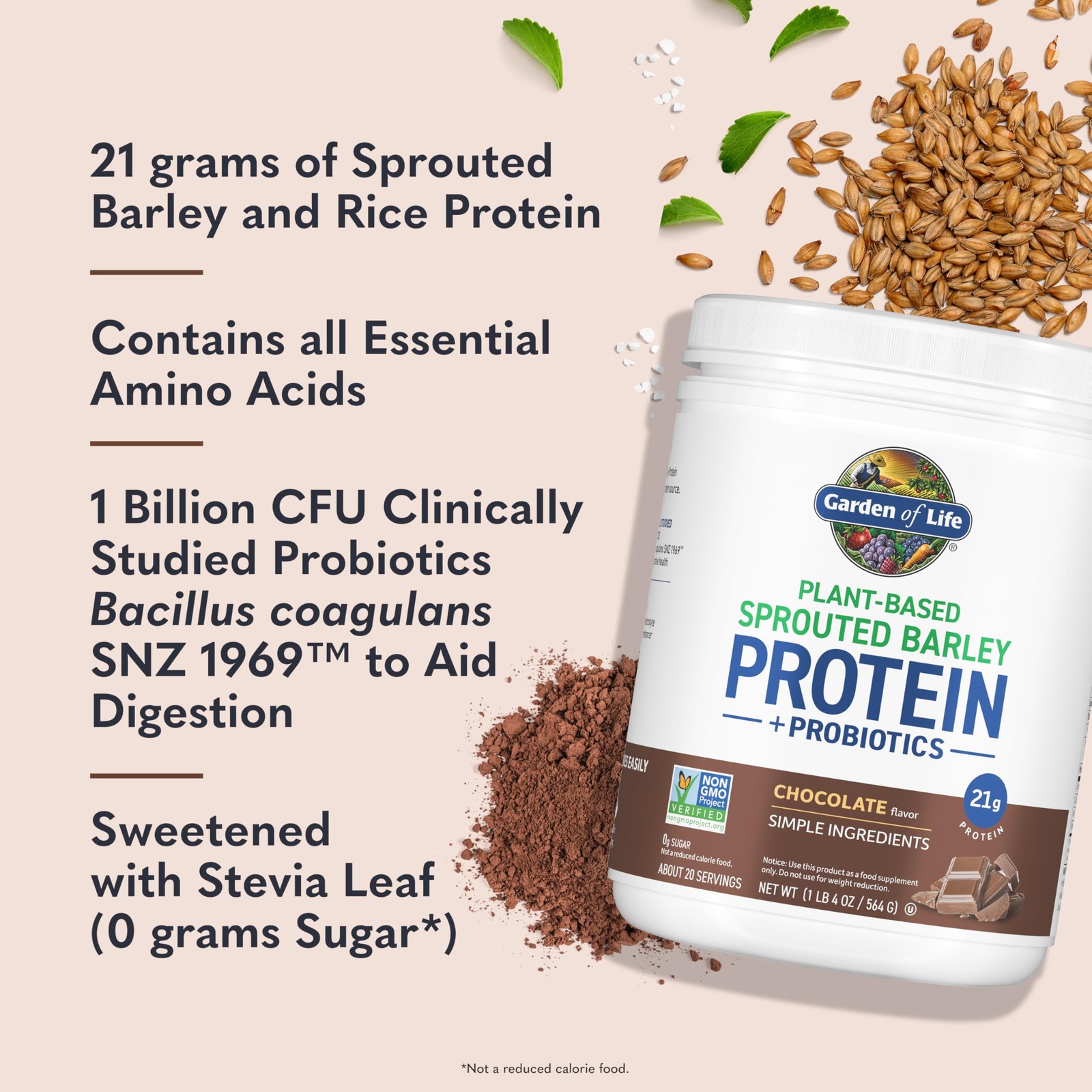 Garden Of Life Plant-Based Sprouted Barley Protein Chocolate 21G Protein 0G