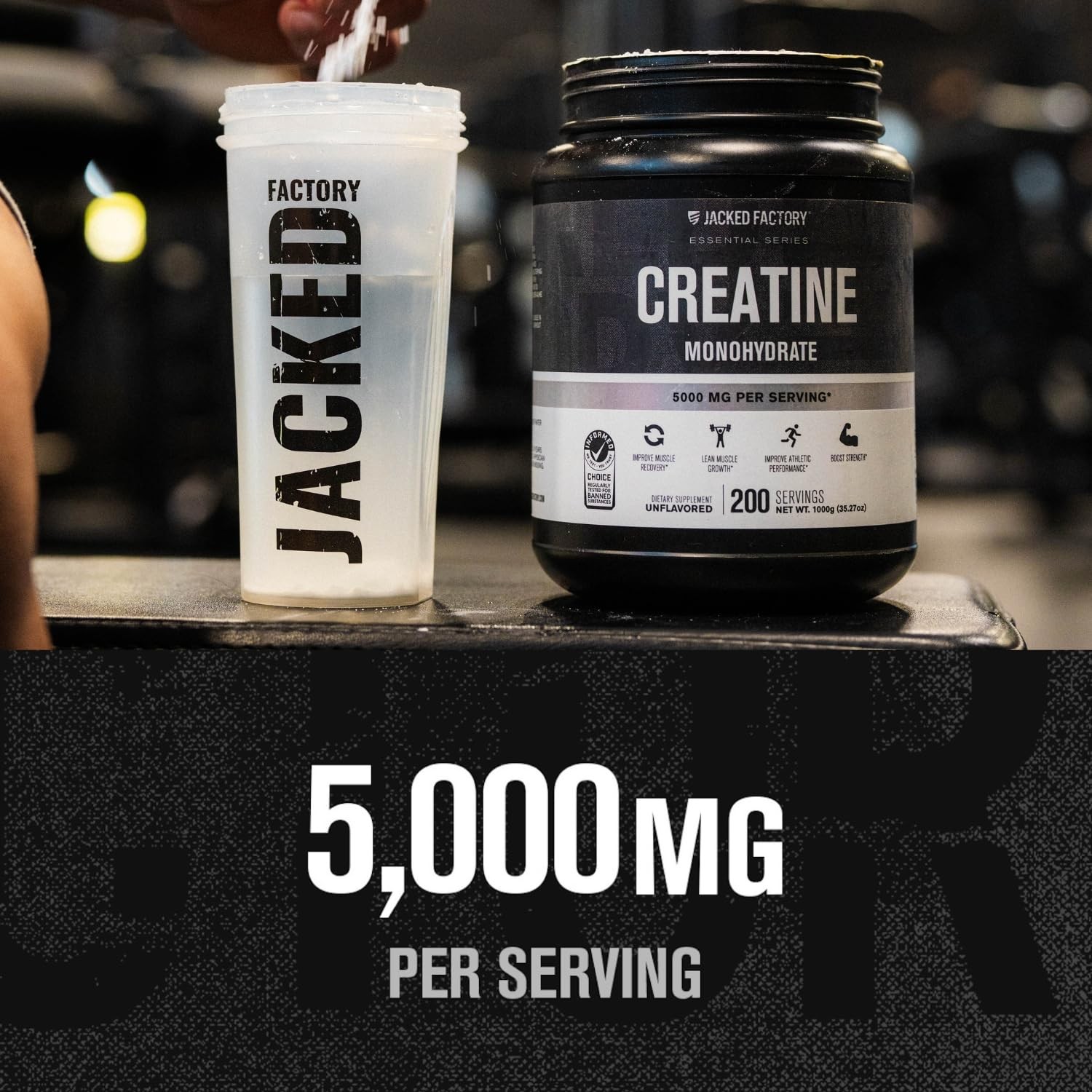 Creatine Monohydrate Powder 1000g – 5g Daily Creatine Supplement for Men and Wom