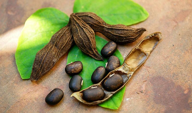 antioxidant anti aging – MUCUNA PRURIENS BEAN EXTRACT – stress complex 1BOTTLE