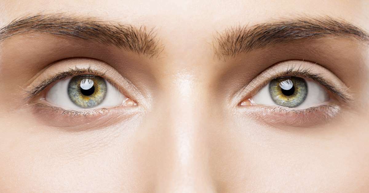 immune system booster – EYE VISION GUARD – bilberry herb 2B