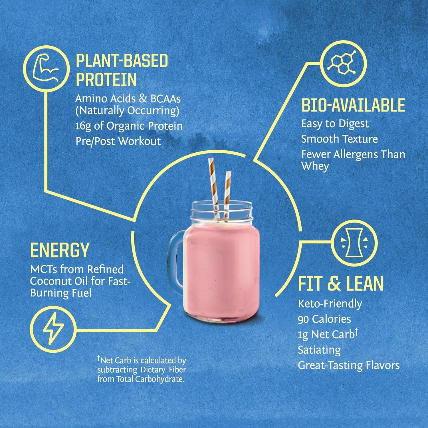 Sunwarrior Warrior Blend Organic Vegan Plant Protein Powder with BCAAs, 1.65 lbs