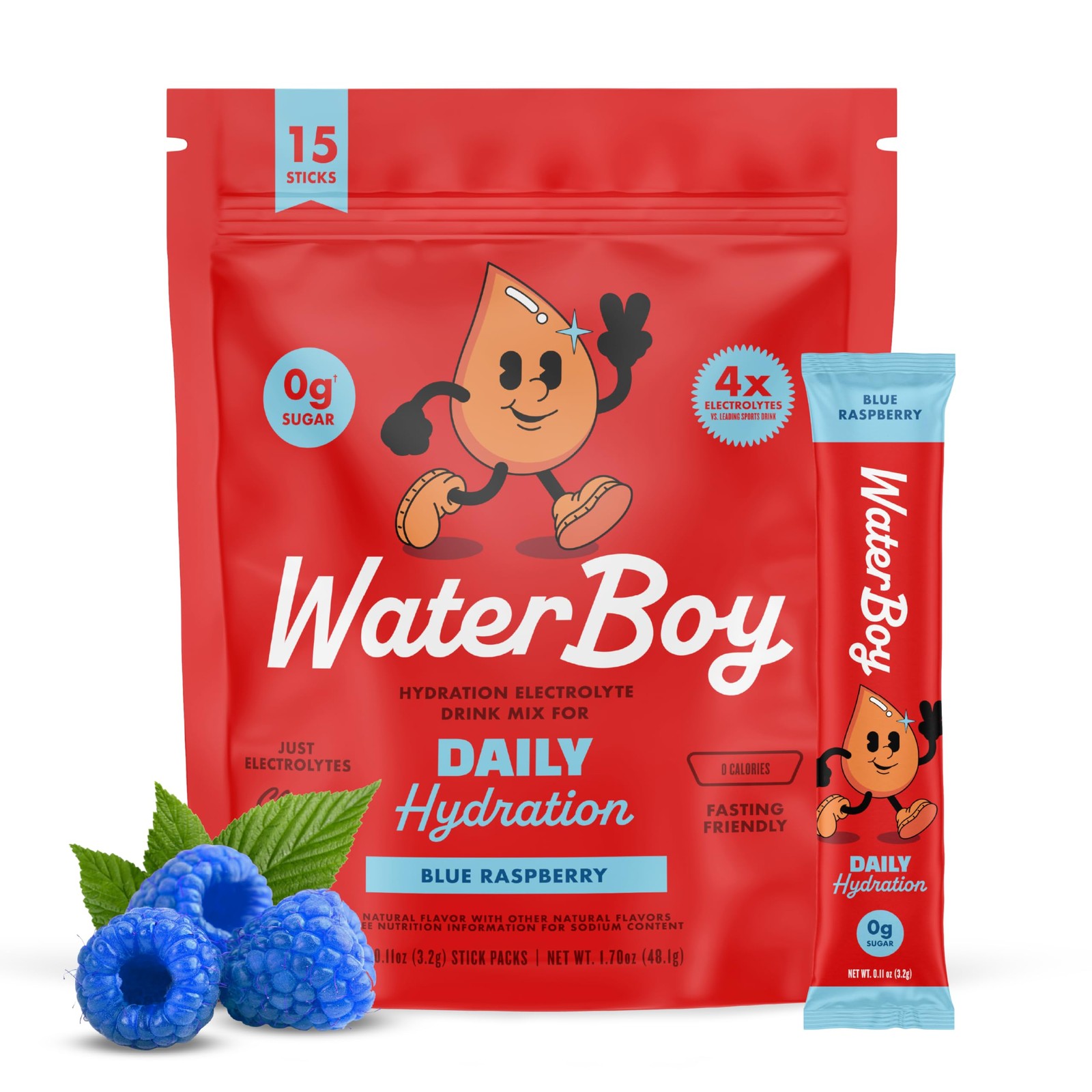 Waterboy – Daily Hydration, Blue Raspberry, Sugar Free 1.75 Ounce (Pack of 1)