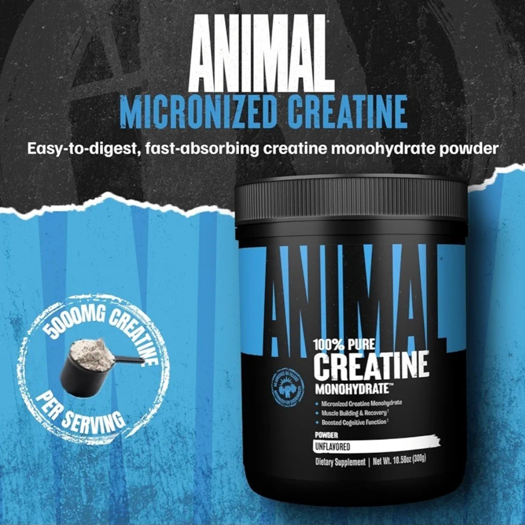 Animal Creatine Monohydrate Powder Micronized Unflavored Muscle Recovery 300 g
