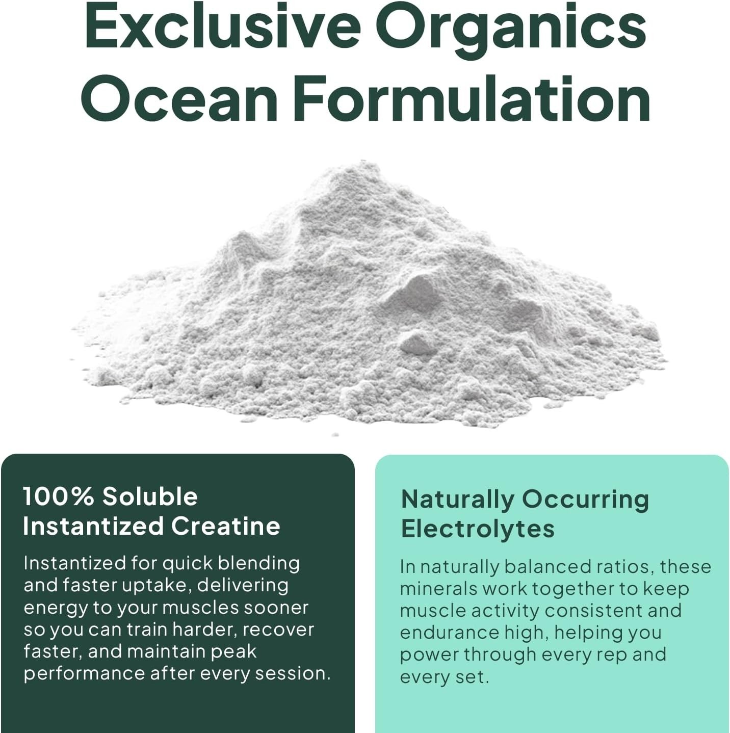 Organics Ocean Krealyte Fusion Creatine Powder Electrolytes Muscle 30 Servings