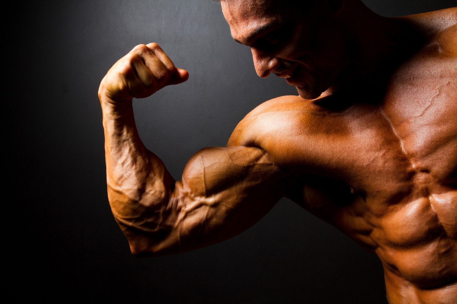 testosterone booster herbal – TRIBULUS TERRESTRIS 2Bot 180Tab – tribulus leaf
