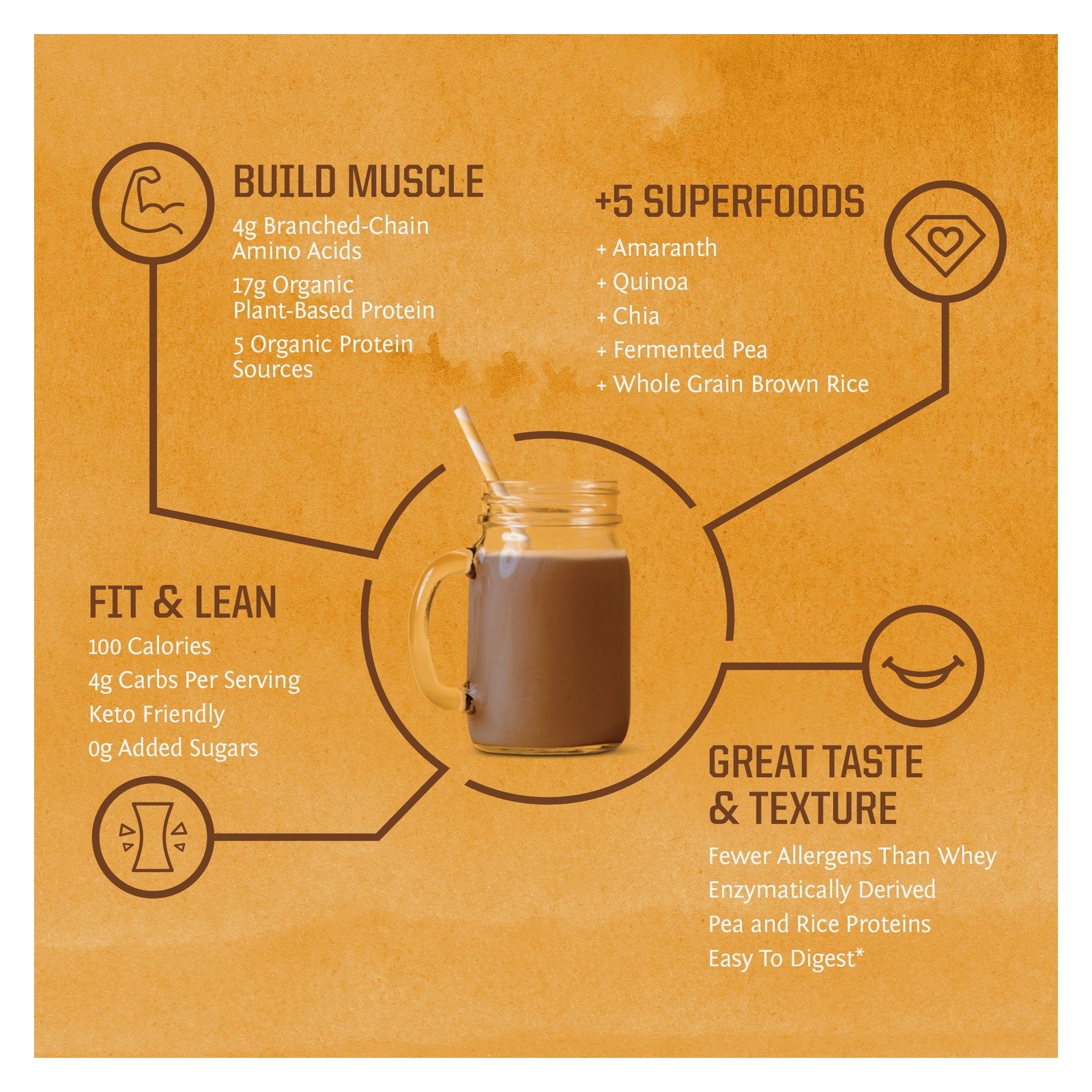 Sunwarrior Classic Plus Vegan Protein Powder Chocolate 30 Servings