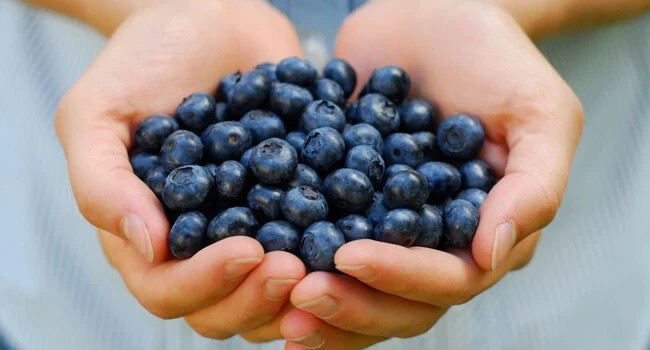 Immune System Fortification – ACAI BERRY EXTRACT – 3B 180 Caps