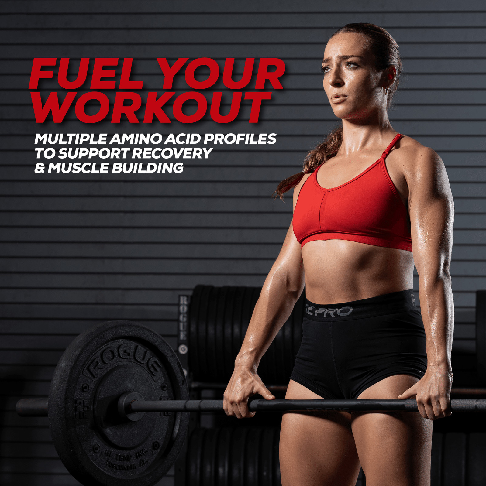 REDCON1 MRE Lite Whole Food Protein Powder, Chocolate