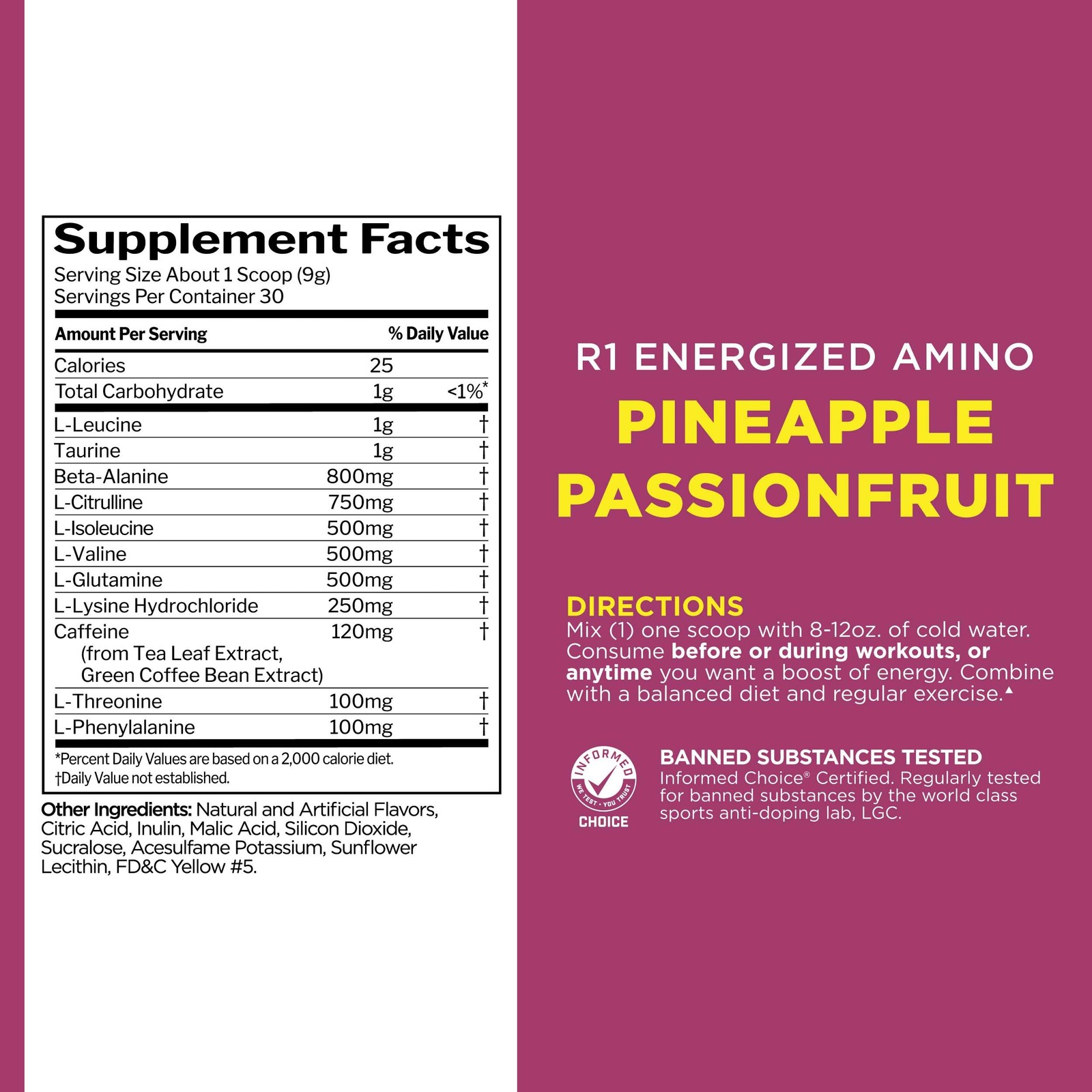 Rule 1 Energized Amino – Anytime Energy and Recovery Support with BCAAs, Glut…