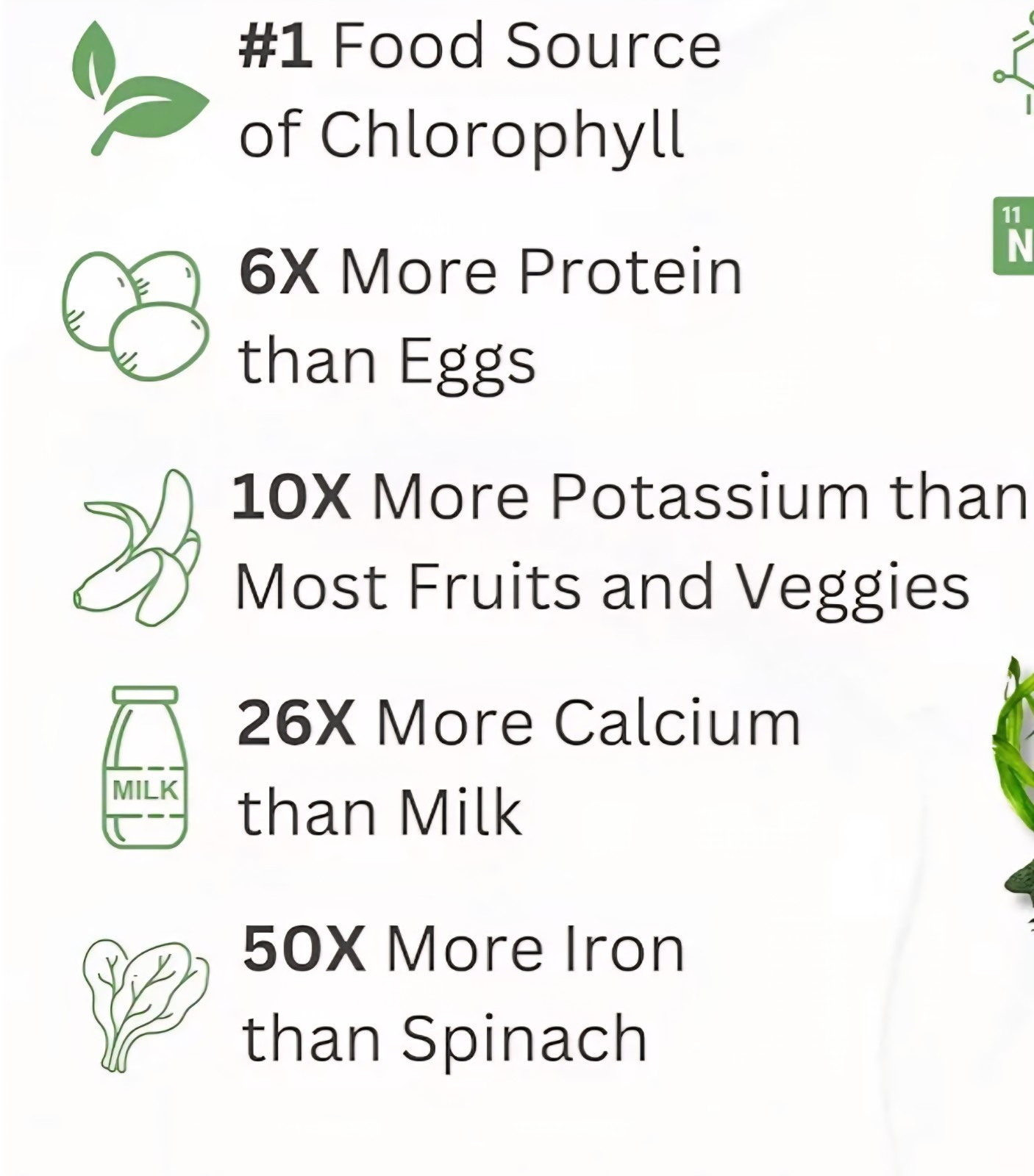 Gnc SuperFoods SPIRULINA 120 Capsules (120 Servings) Whole Plant BEST BY 05/26