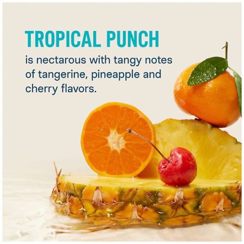 Hydration Multiplier Electrolyte Drink Mix Tropical Punch 0.56 oz