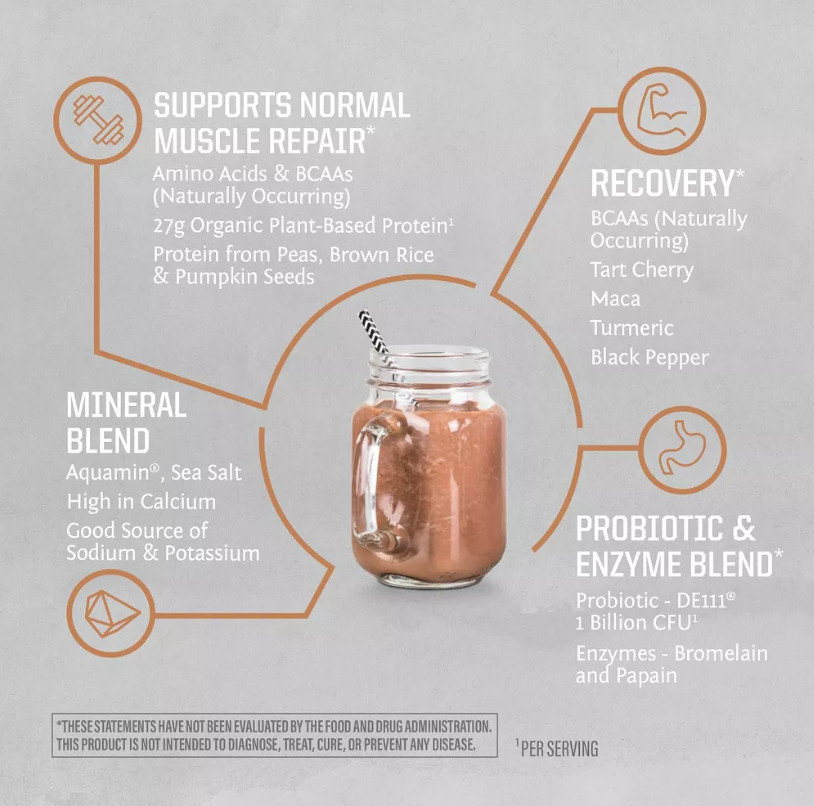 Sunwarrior Active Protein, Plant-Based Protein Powder Chocolate Peanut Butter